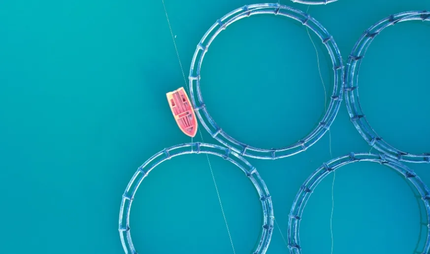 Aerial view of a fishing boat in the sea.