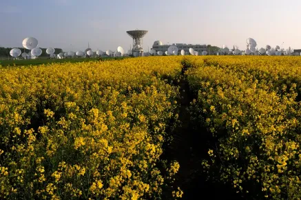 Rambouillet Teleport with flowers in the foreground