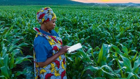 IMAGE_Press_Orange-Africa-Eutelsat_Getty_040325.jpg