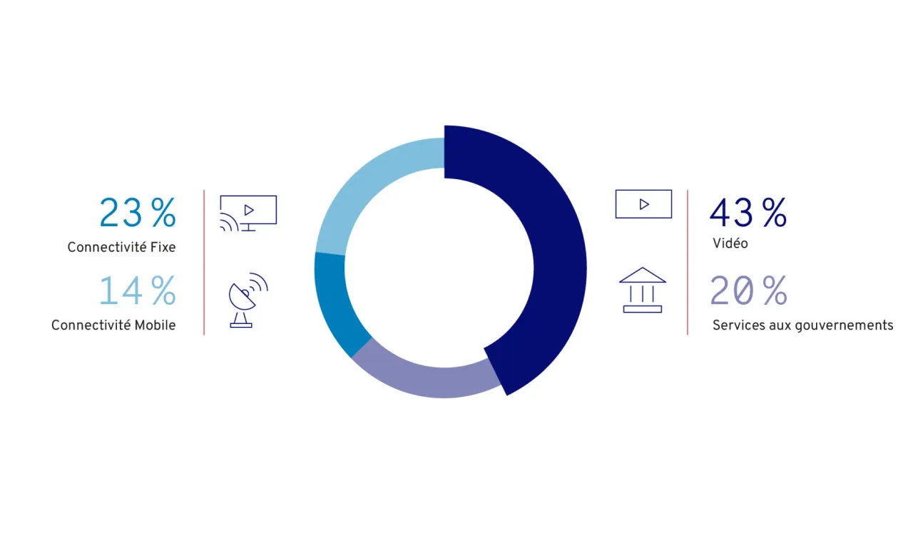Investors Revenue by Application FR